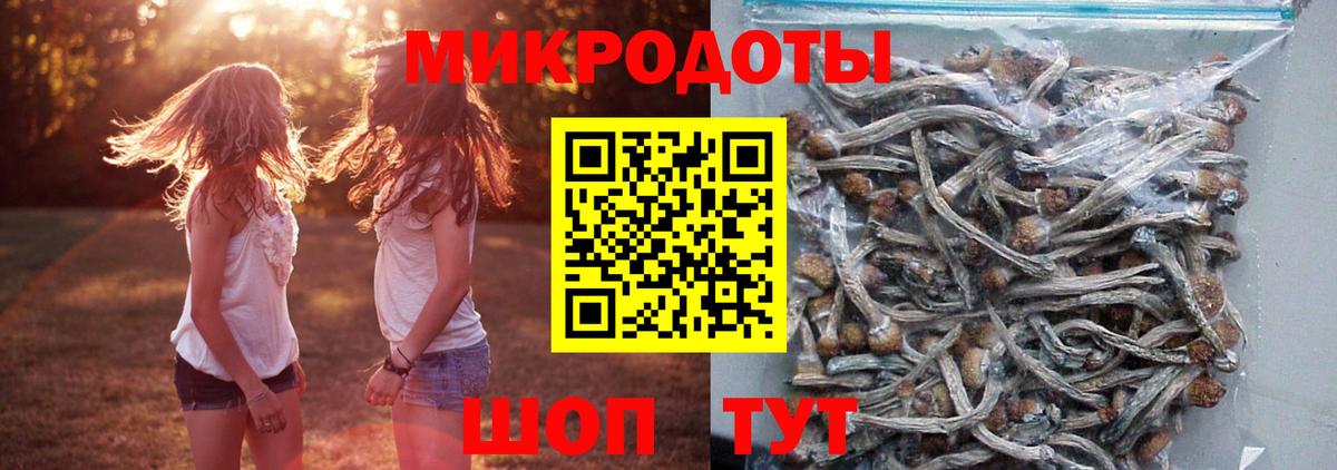 Галлюциногенные грибы мицелий  Вход с VPN  Галлюциногенные грибы прущие грибы  Нефтекамск 