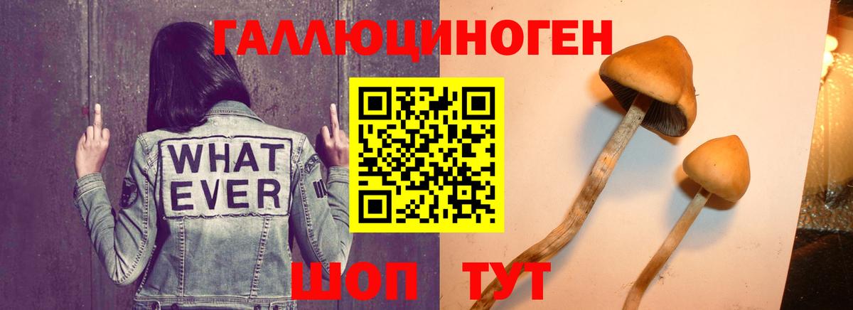 Псилоцибиновые грибы GOLDEN TEACHER Нефтекамск